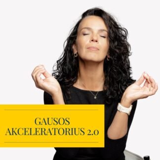 Gausos Akceleratorius 2.0- 6 sav. mokymų programa